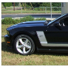 2010-12 Mustang 4.6L Numeral Decal Set - for Side L-Stripe Kit